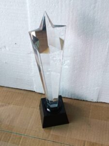 Star head crystal award