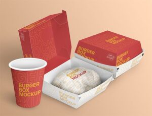 piza package box